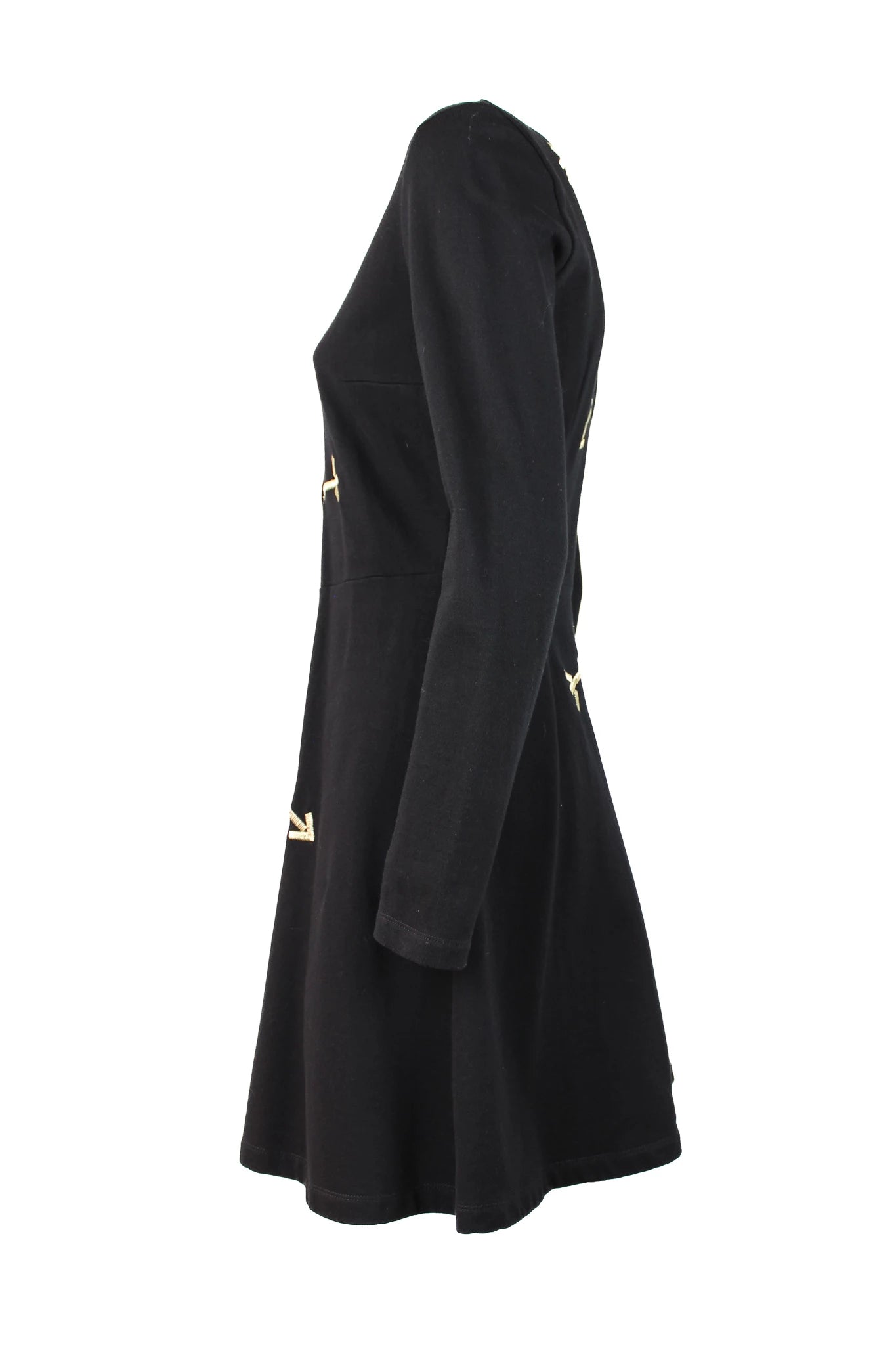 Skater skirt dress with embroidery