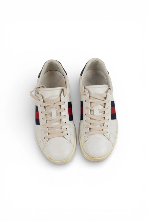 Ace Sneakers with blue Web