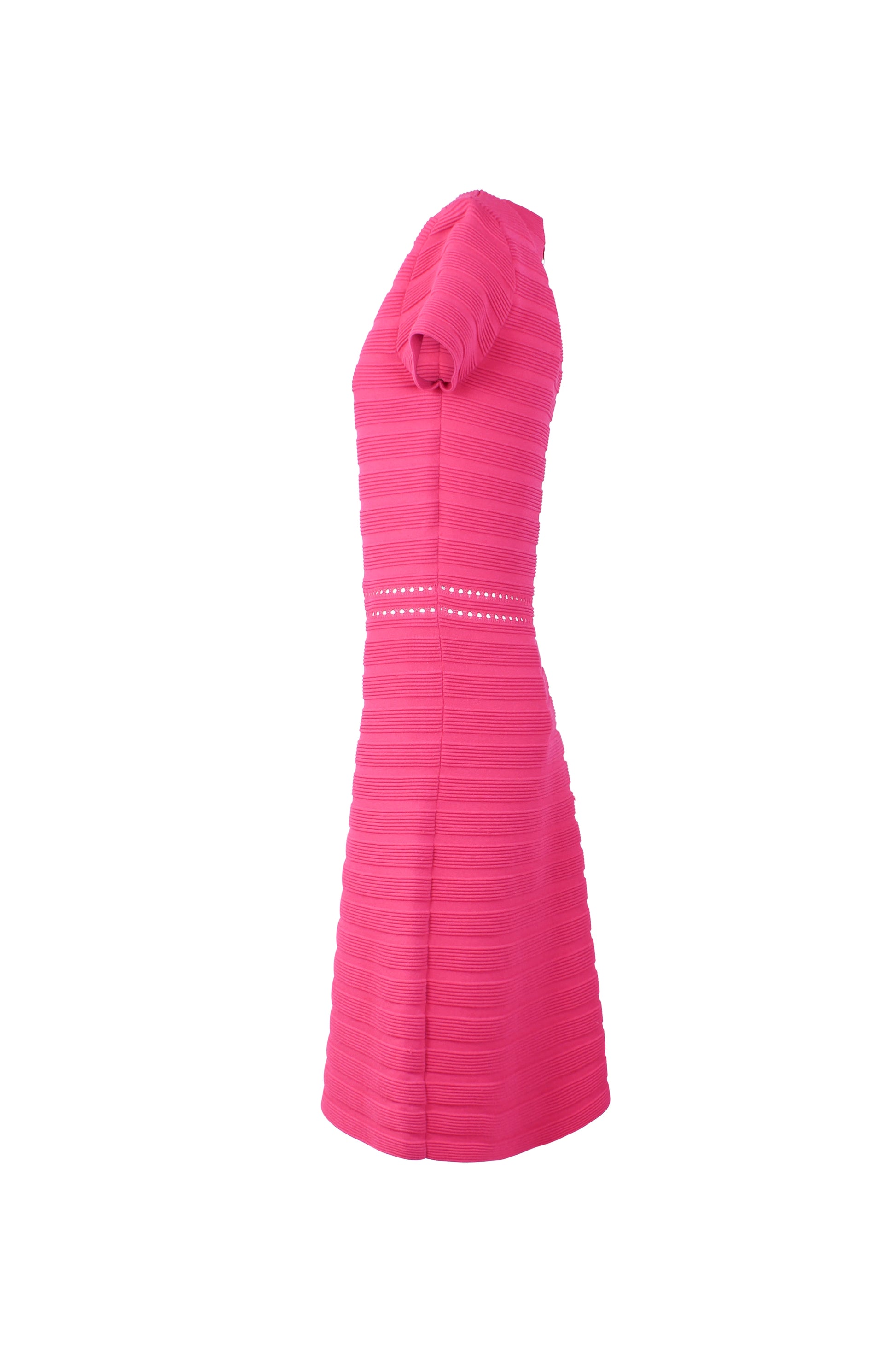 Fucsia A-line Dress