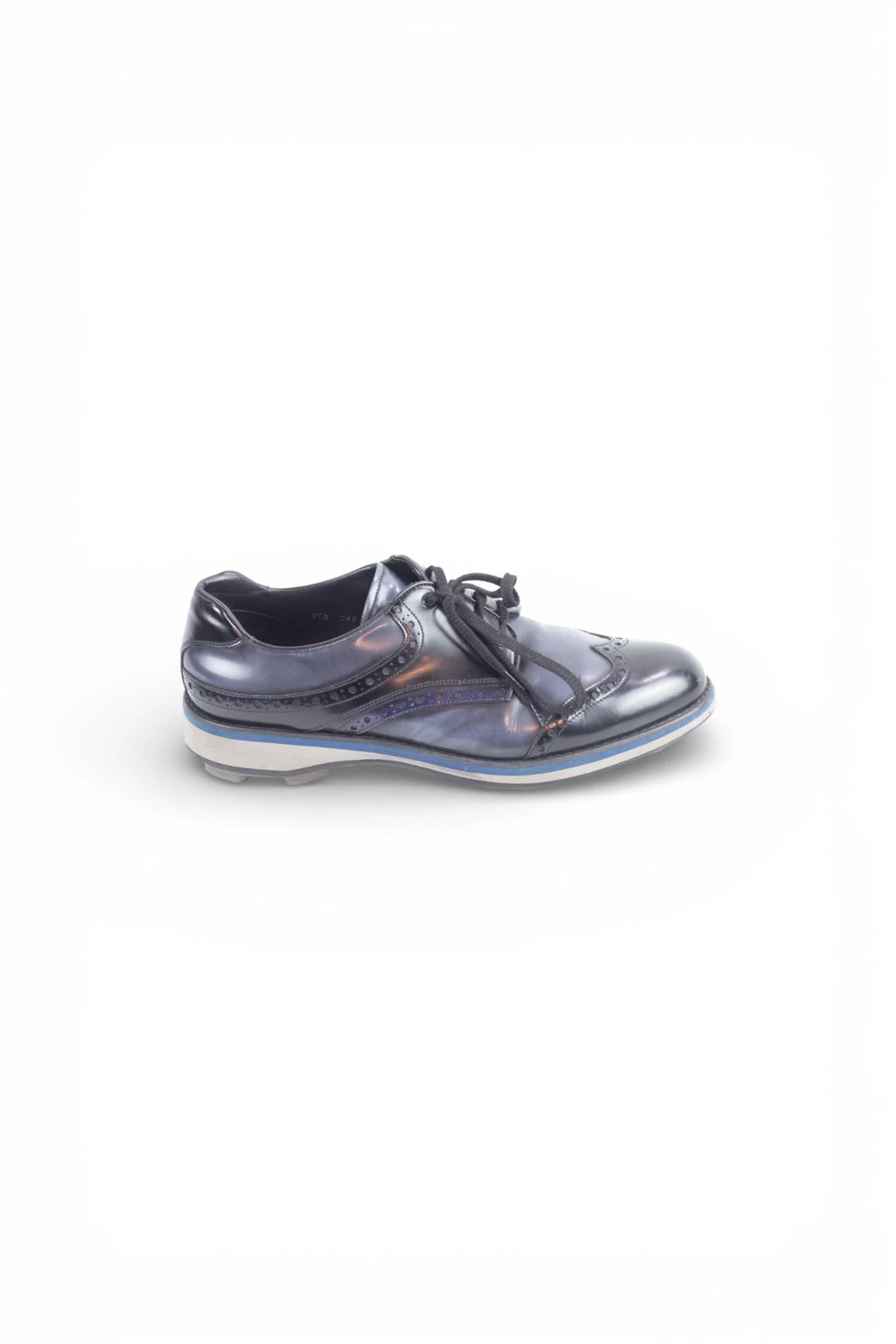 Black and Blue Lace-Up Shoes with Brogue Detailing SS2012
