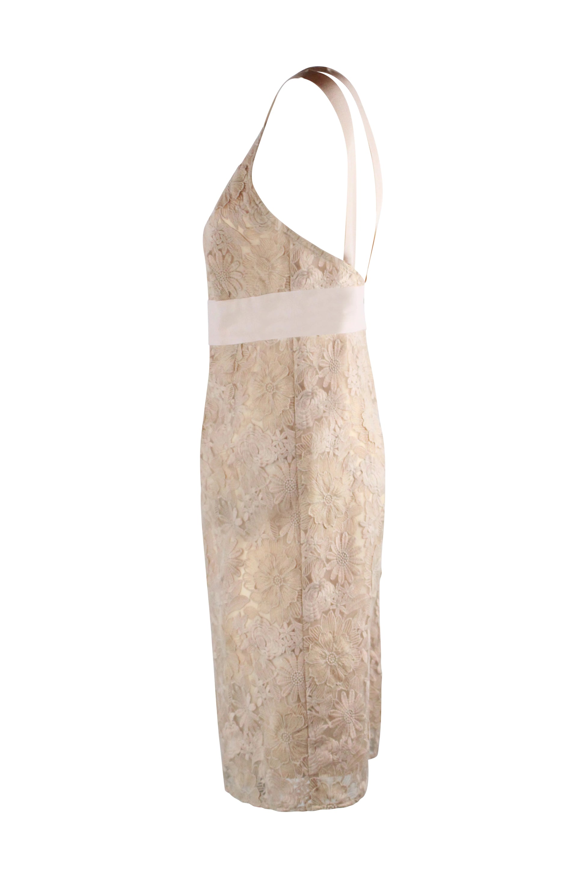 Pink Lace Tube Dress with Intricate Detailing