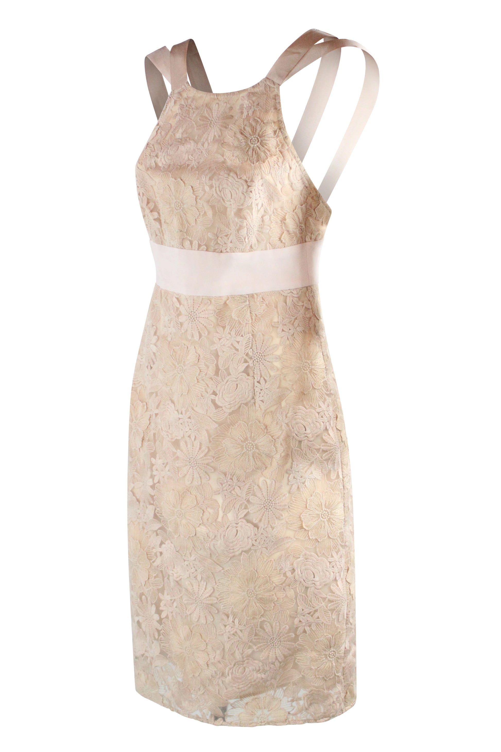 Pink Lace Tube Dress with Intricate Detailing